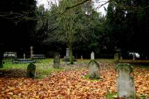 Gravemarkers in a cemetery with a tree in the middle and fallen leaves on the ground