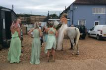 Wedding service on the beach with bride on a horse