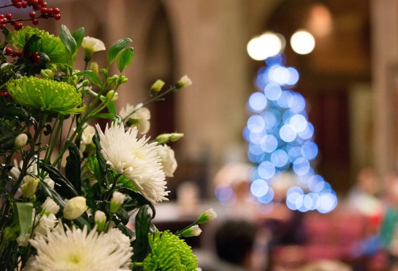 Flowers in foreground, Christmas tree in background blurred