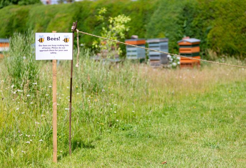 Bishop of Norwich's bee hives