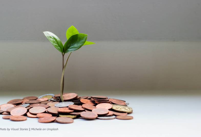 A seedling growing from a pile of coins