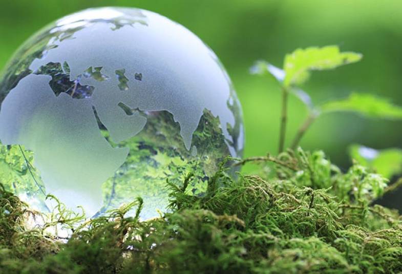 glass globe on moss with a green background