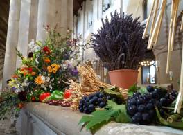 Display of flowers, fruit and wheat in cathedral for Harvest Festival 