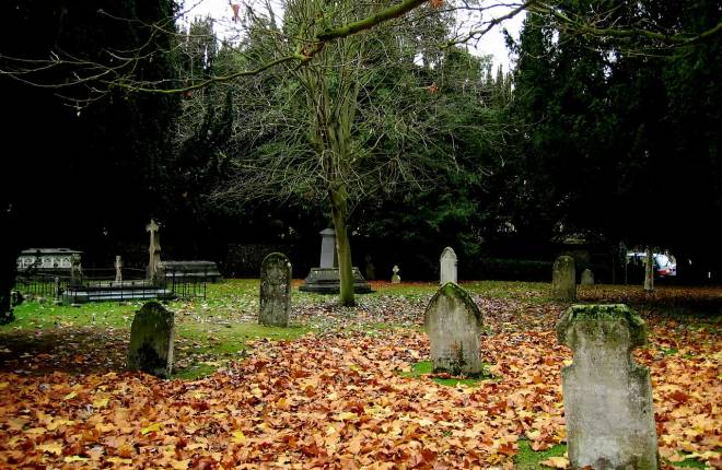 Gravemarkers in a cemetery with a tree in the middle and fallen leaves on the ground