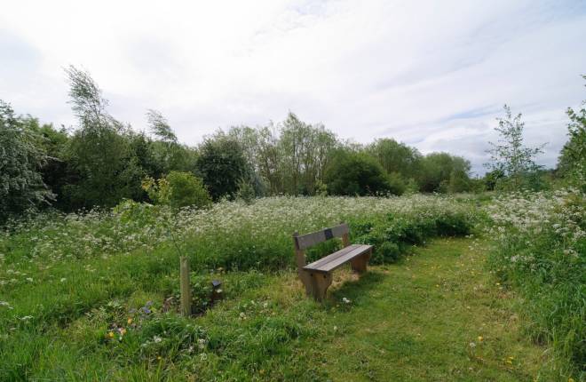 A bench by a grave in a natural burial ground