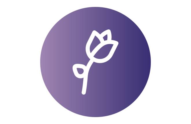 Purple bubble with a flower inside