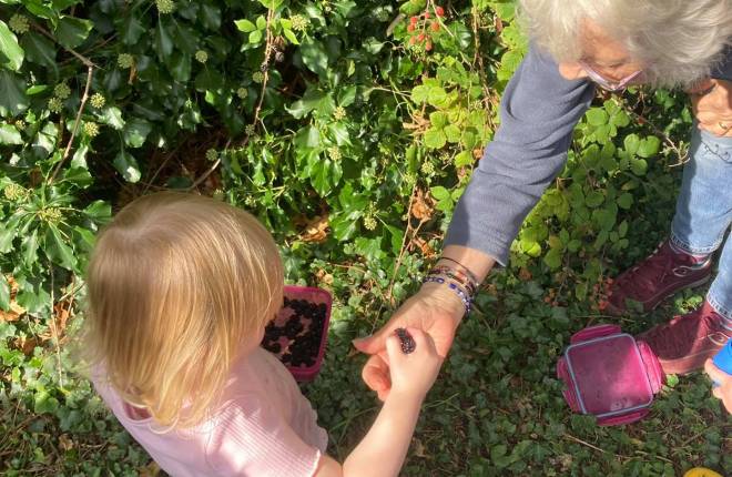 An aerial view of a grey-haired lady helping a small girl to pick blackberries 