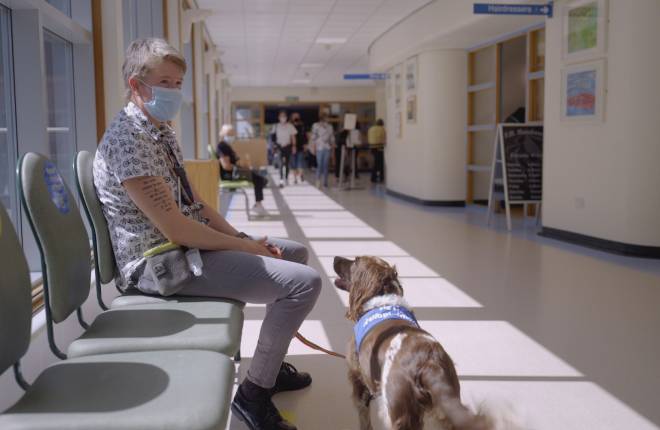 Katie sits with the therapy dog in a hospital ward