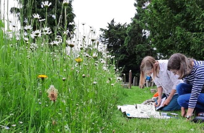 Children fill in a nature count sheet with kneelength grass filled with flowers shown on the lefthand side which is part of a churchyard or graveyard 