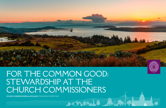 Stewardship Report Cover Graphic