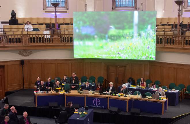 green things on screen in synod chamber